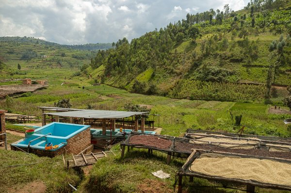 Comment développer des programmes de recyclage des vieux appareils électroniques dans les écoles ?