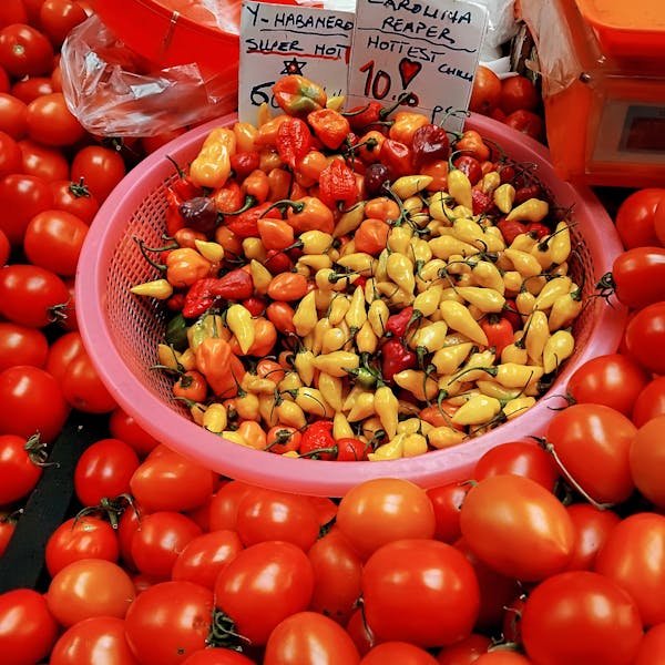 L'échelle piment : osez le défi des 10 niveaux de piquant !